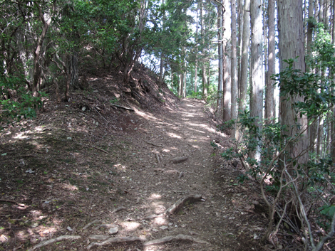 20150929hike (137)